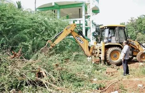 சீமை கருவேலம் மரங்களை அழிக்க கொள்கை; அரசுக்கு இரண்டு மாத காலம் அவகாசம்!