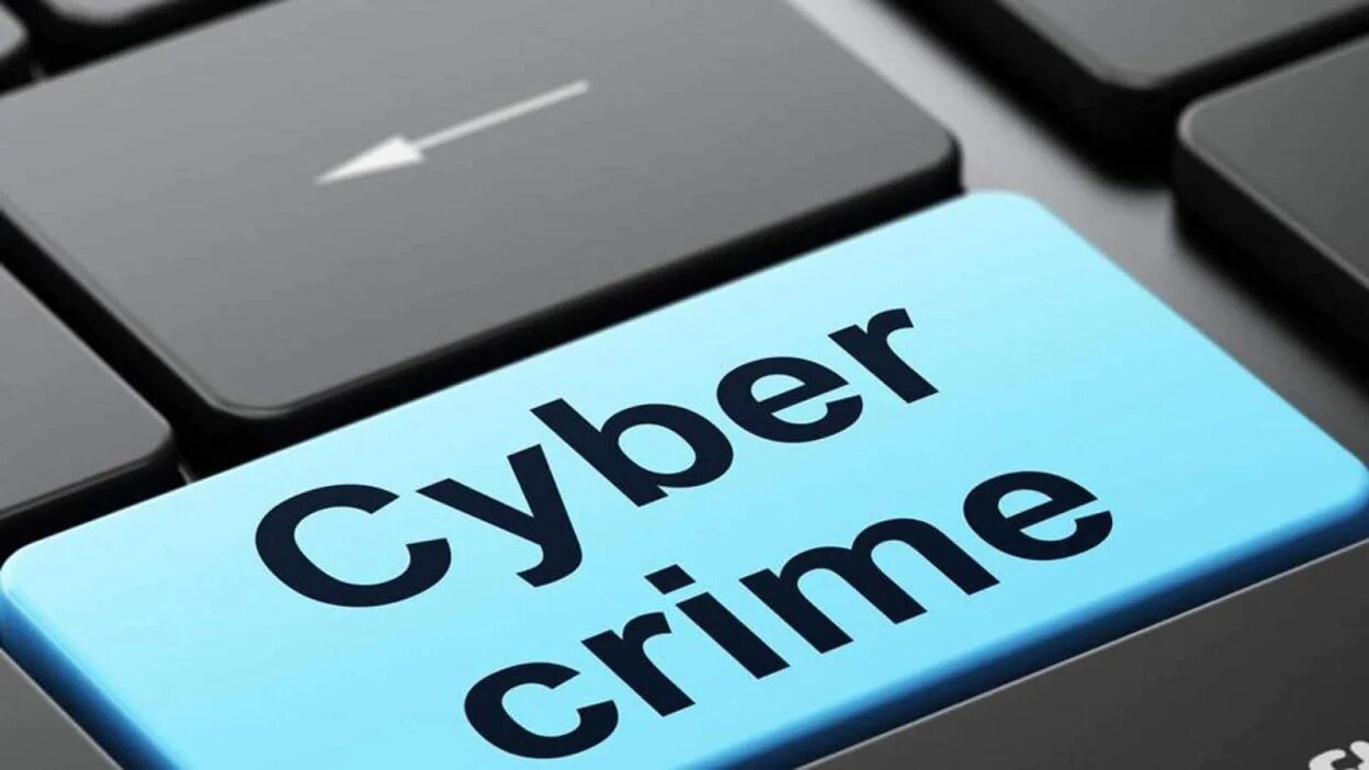 cyber crime 