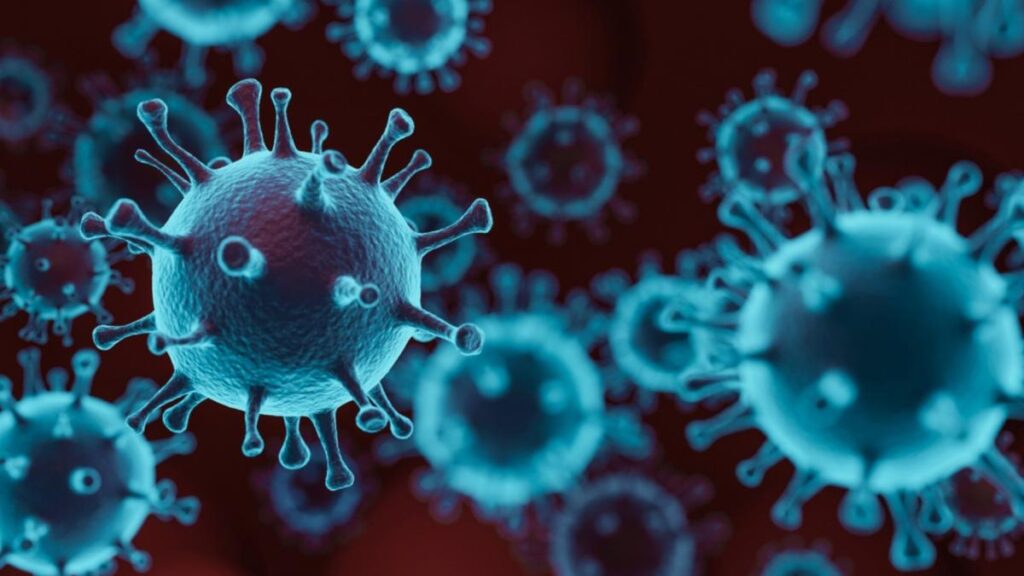 Corona Virus
