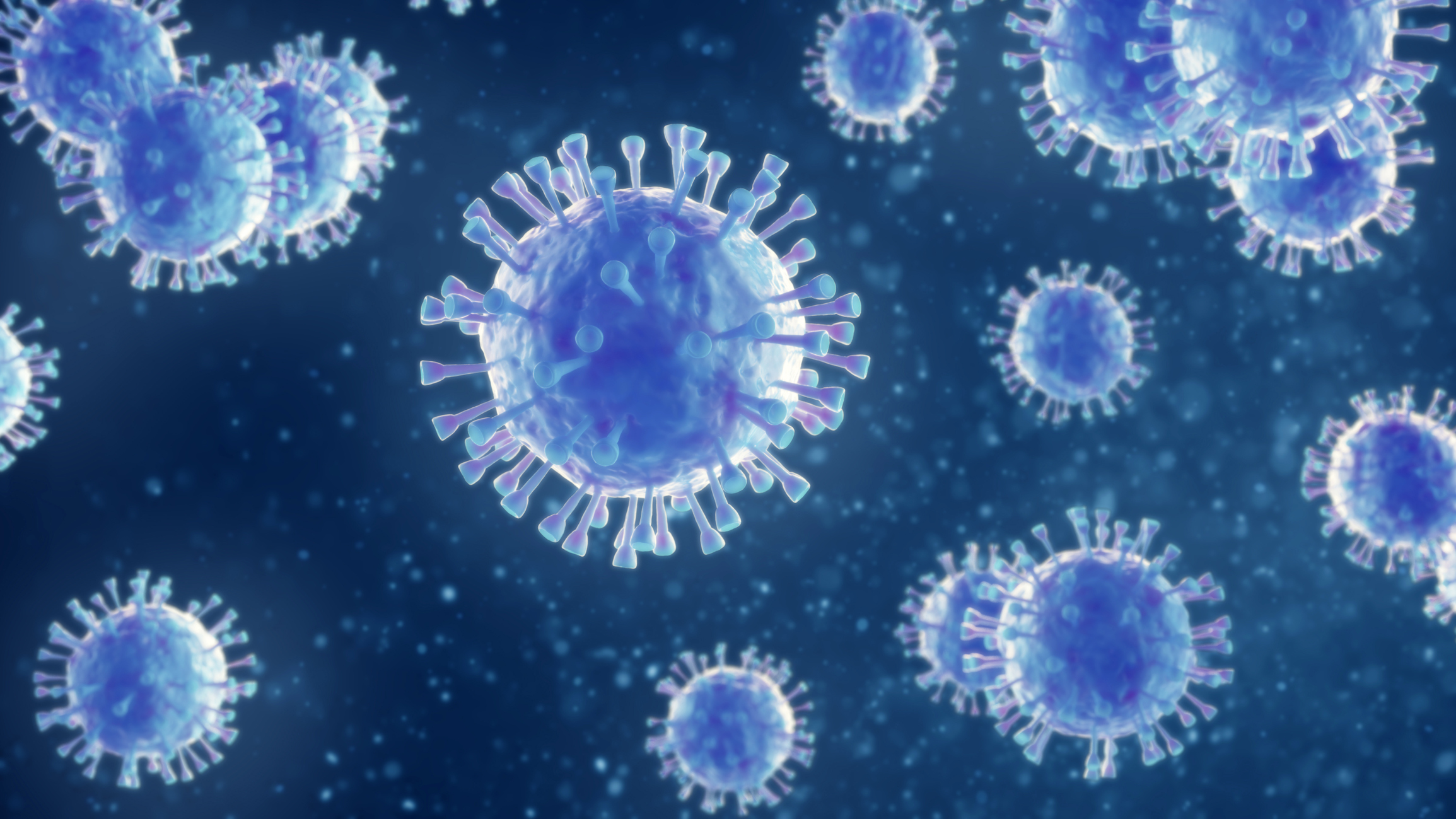 corona virus 