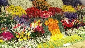 Flower Exhibition