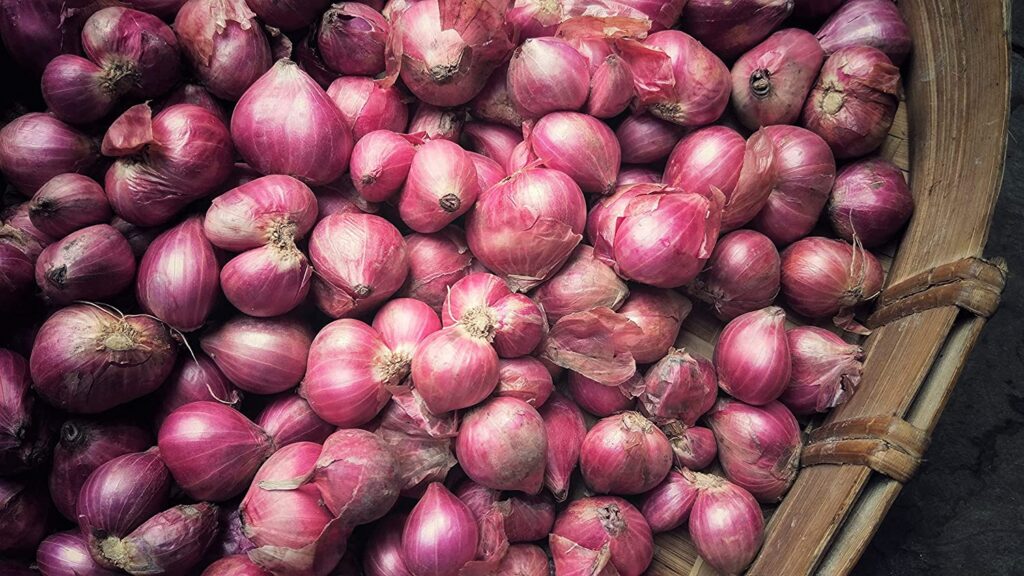 shallots 