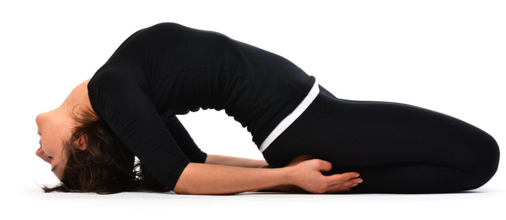 matsyasana yoga 