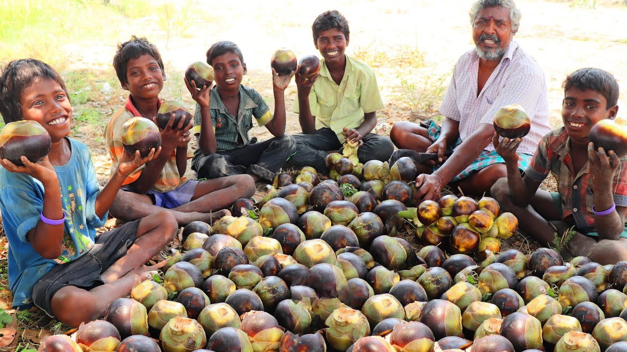 பனை பழம் 
