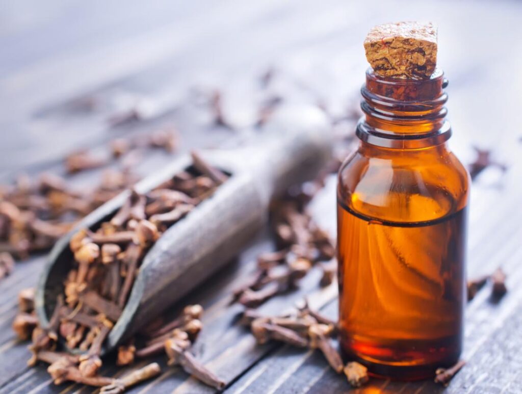 clove oil 