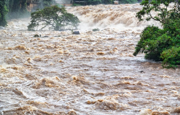 வானிலை ஆய்வு மையம் : நீலகிரி, கோவையில் இன்றும் மிக கனமழை பெய்யக்கூடும் !