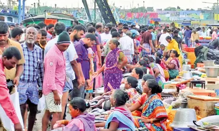 காசிமேட்டில் ஒரே நாளில் ரூ.15 கோடிக்கு மீன் விற்பனை!