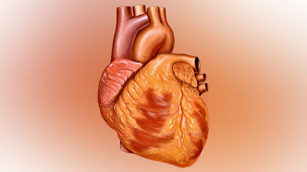 உலகளாவிய மாரடைப்பு இறப்புகளில் 5-ல் 1 இந்தியாவில் நிகழ்கிறது! வெளியான அதிர்ச்சி ரிப்போர்ட்!