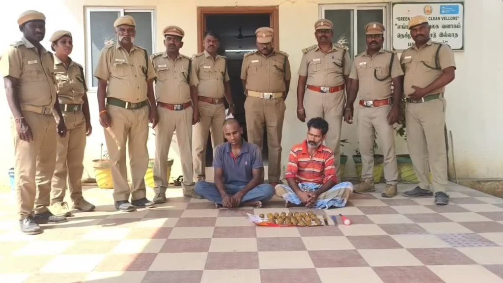 வனவிலங்கு வேட்டைக்காக வைத்திருந்த 43 நாட்டு வெடிகுண்டுகள் பறிமுதல் – இருவர் கைது